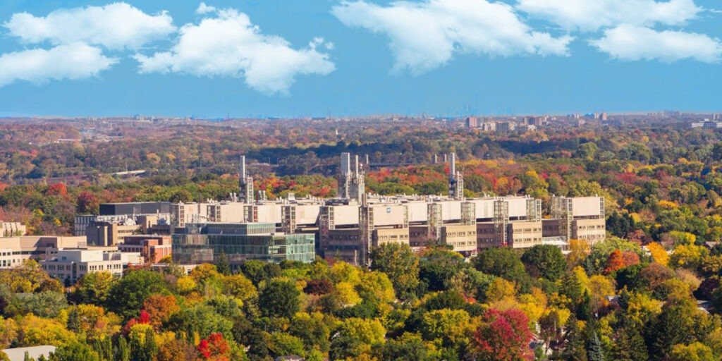 My Plan for a Sustainable Hamilton with BEC