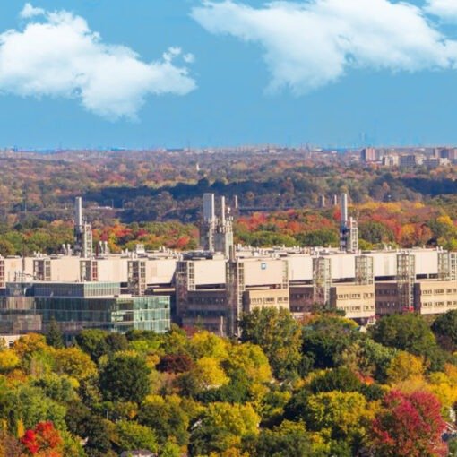 My Plan for a Sustainable Hamilton with BEC