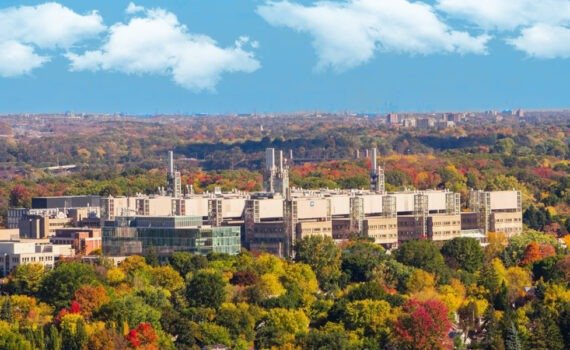 My Plan for a Sustainable Hamilton with BEC